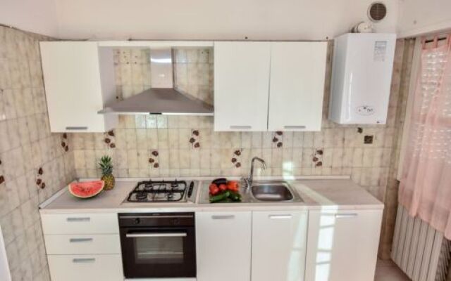 Green Marine. Palme. Ismare 17725