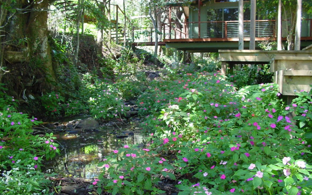 Treetops Accommodation Montville