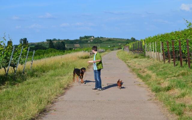 Hotel & Restaurant Castell