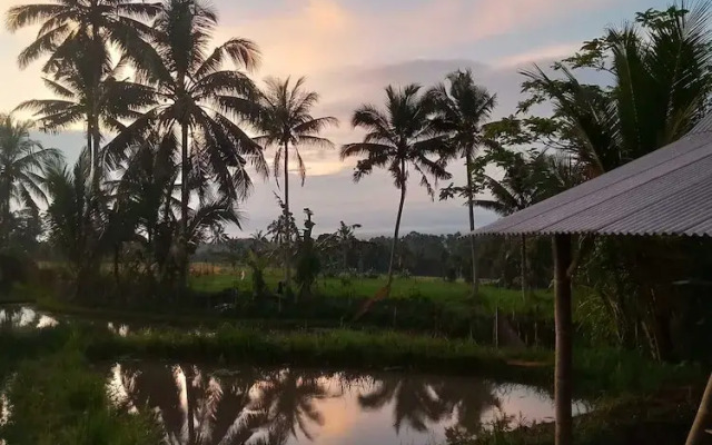 EXPRESS O 91901 Homestay Irish Irish