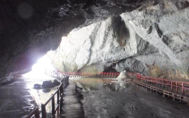 Pensiunea Piatra Mandrutului