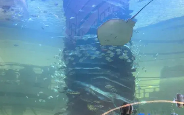 Qinglong Hotel Yichun