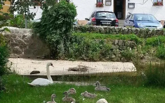Zum Weißen Rössl