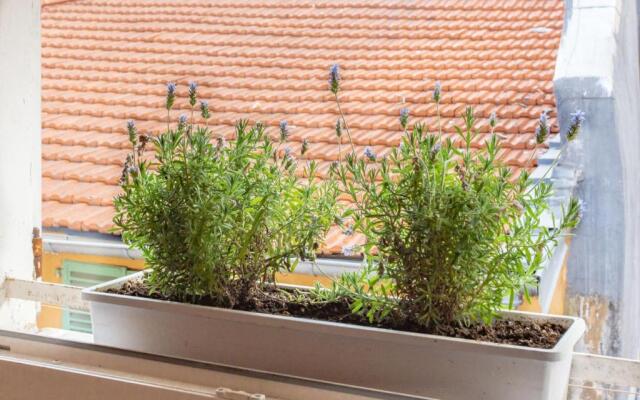 #5 Flower Markets Place 1Min to beach & Saleya