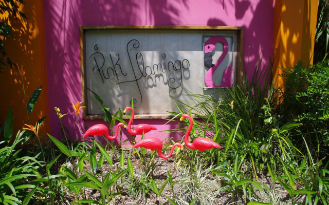 Pink Flamingo Resort