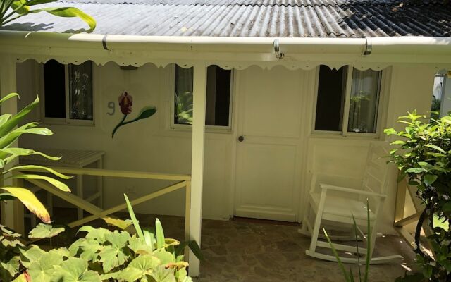 Caribbean Living Beach Club & Hostel