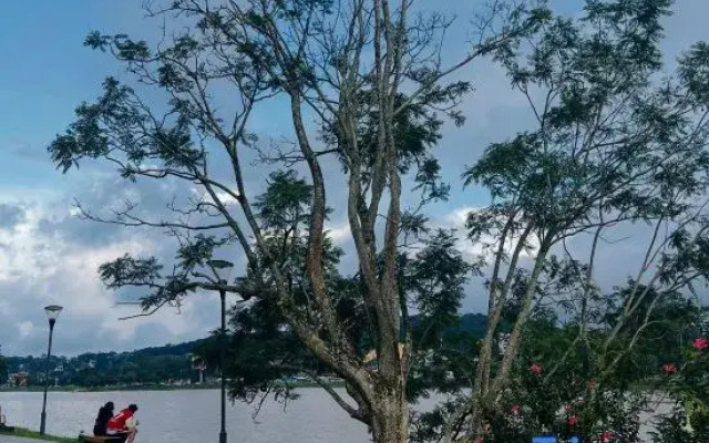 Nang's Villa & Coffee