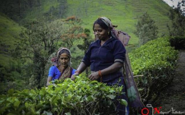 Seven Hills Holiday Bungalow