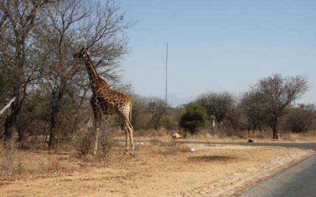 Giraffe Lodge