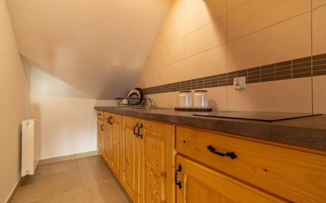 Apartamenty Willa Olsza - wood house & mountain view