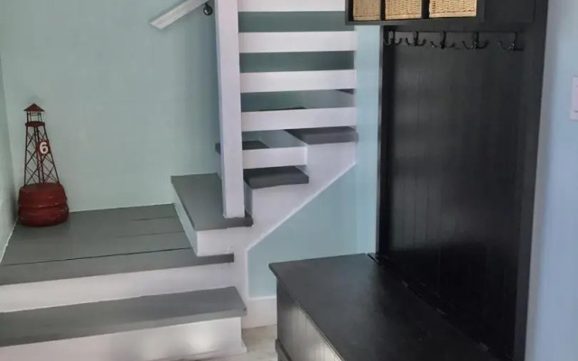 AMI Sand Dollar - 6403 B Holmes