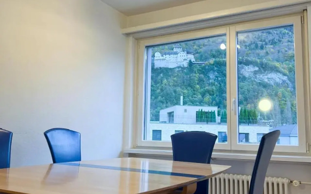 Schöne grosse Attika-Wohnung im Zentrum von Vaduz inkl. Parkplatz