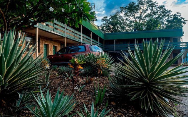 Palm Court Budget Motel Hostel/Backpackers