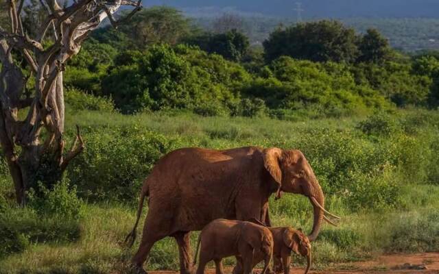 Sinharaja Park Hotel