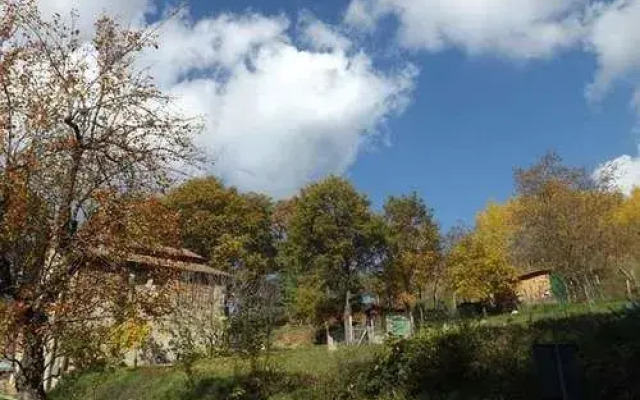 B&B La Pieve