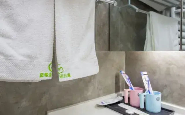 Blueberry Chain Hotel Apartment (Linyi Taisheng Plaza )