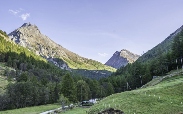 Pension am Waldegg
