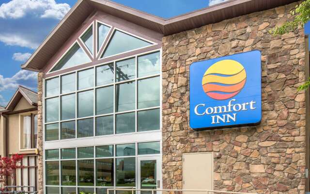 Comfort Inn Downtown