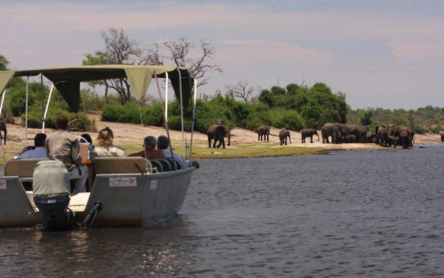 Elephant Valley Lodge