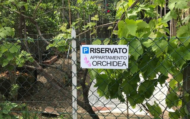 Lake Como - Orchidea