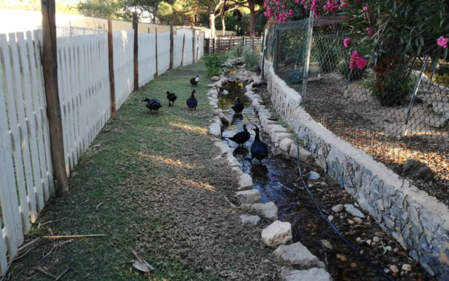 Quinta Vita - Vila Pera