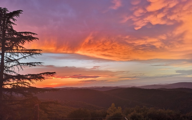 Villa Sant'Uberto Country Inn