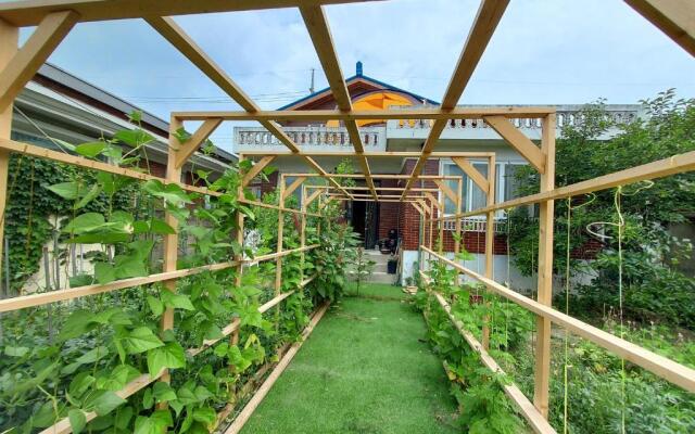 Grandmother's Vegetable garden