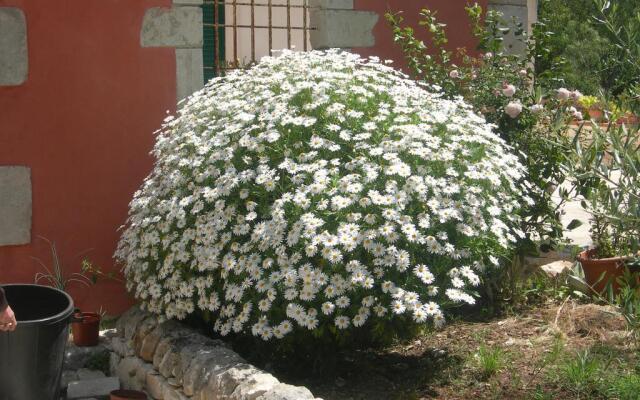Modica Garden Resort