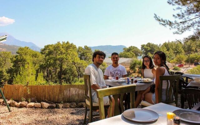 Evergreen Glamping
