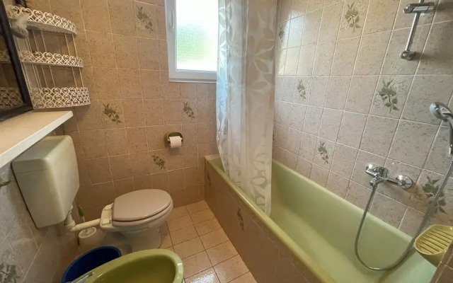 Apartment Orlic
