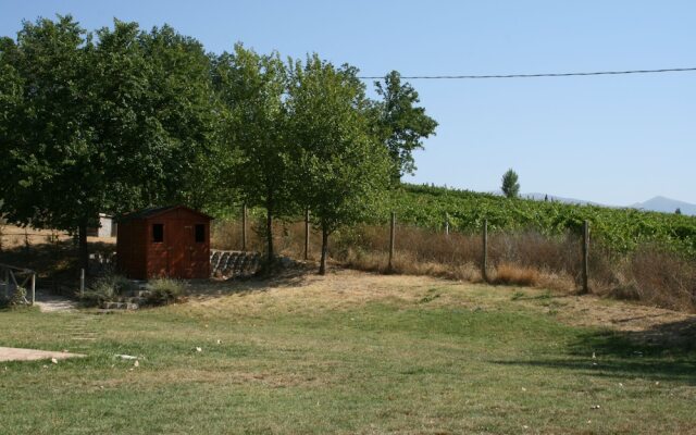 Agriturismo Unico Coricelli