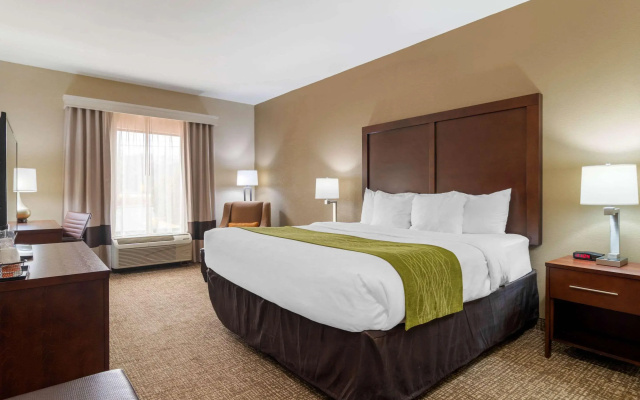 Comfort Inn & Suites Griffin North