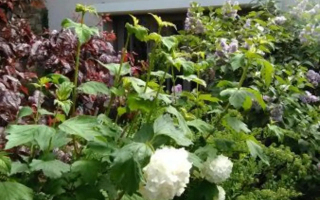 Gîte Tonnoy, 3 pièces, 4 personnes - FR-1-584-35