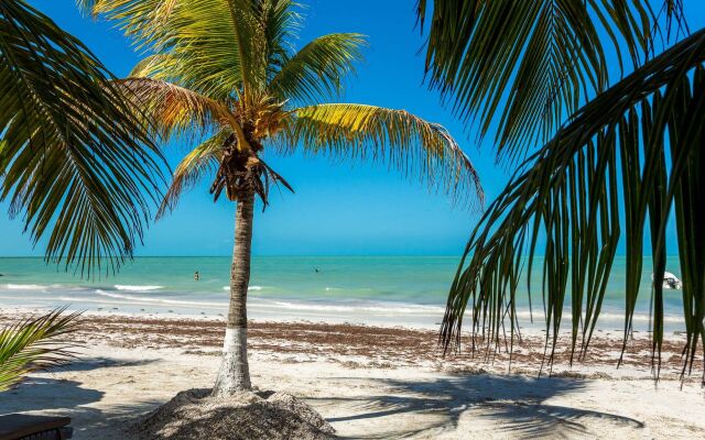 Holbox Dream Beach Front Hotel