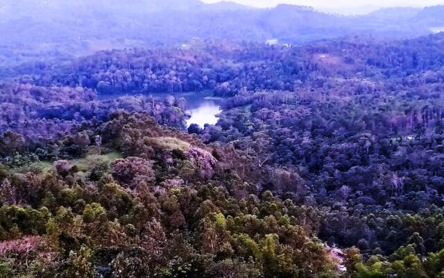 Munnar Jungle Camp