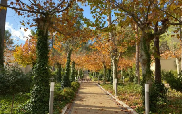 Confluent Health Resort