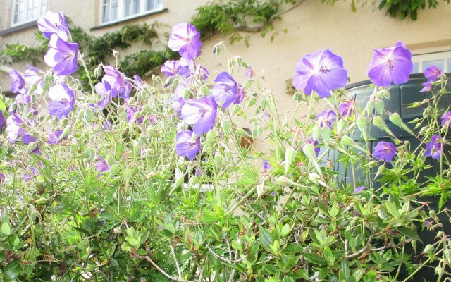 Brambles Bed and Breakfast
