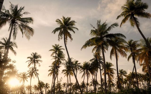 Patina Maldives Fari Islands