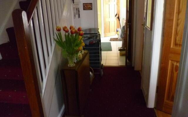 Homely wee House