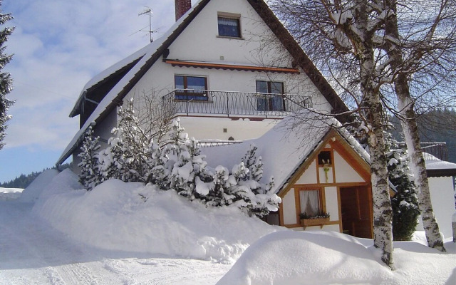 Scherzinger Eisenbach Hochschwarzwald