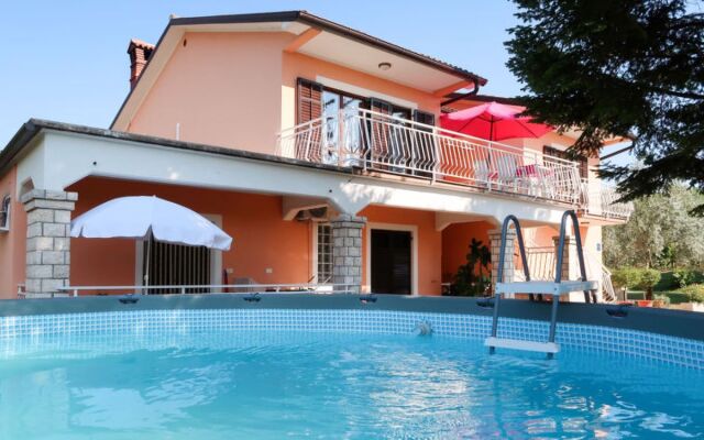 Mirjana (LBN312) 40625