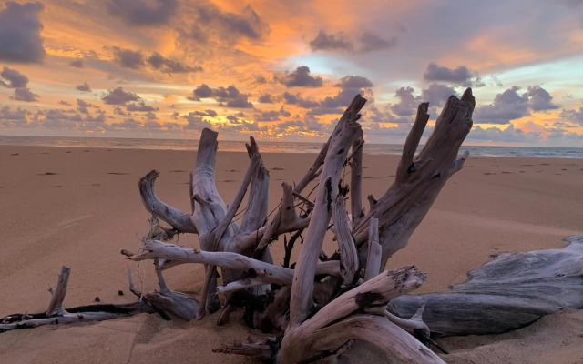 FairHouse bungalow khaolak