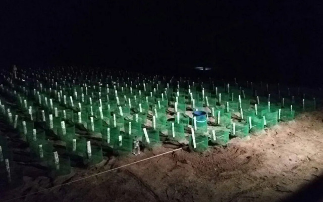 山打根灵岸龟岛酒店(Selingan Turtle Island Resort Sandakan)