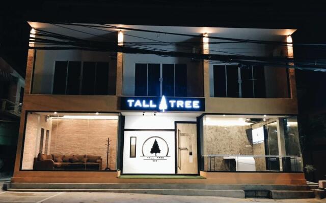 Tall Tree Kata Phuket