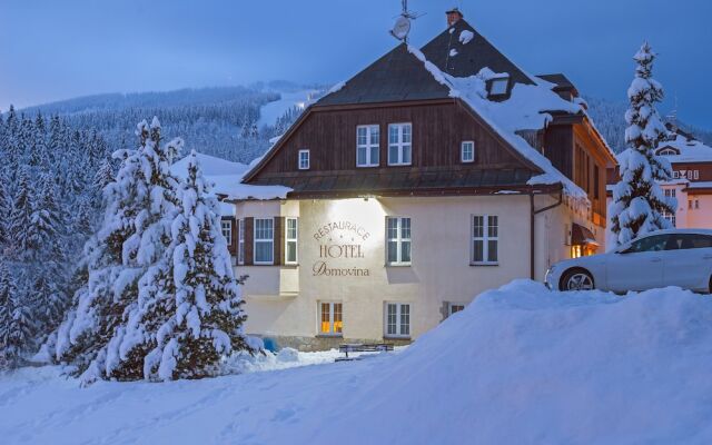 Hotel Domovina