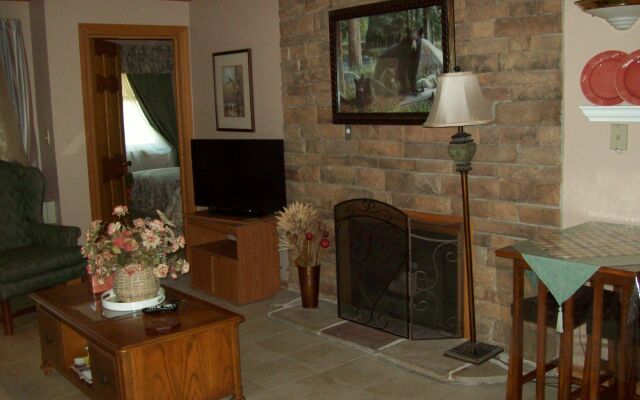 Gatlinburg Chateau Rentals