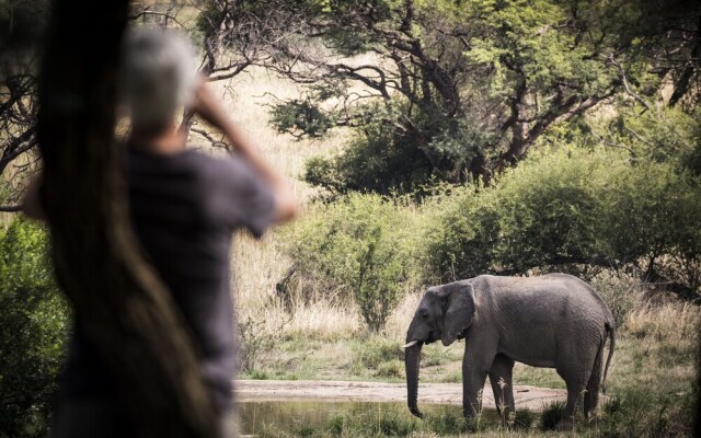 Marataba Safari Lodge