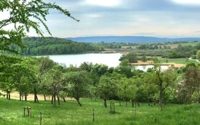Ferienwohnung Seeliebe