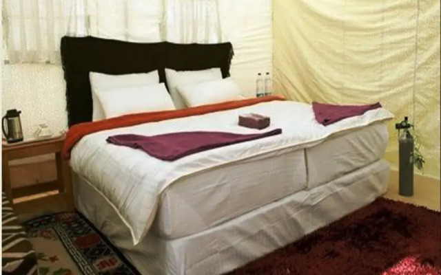 TIH The Regal Camp