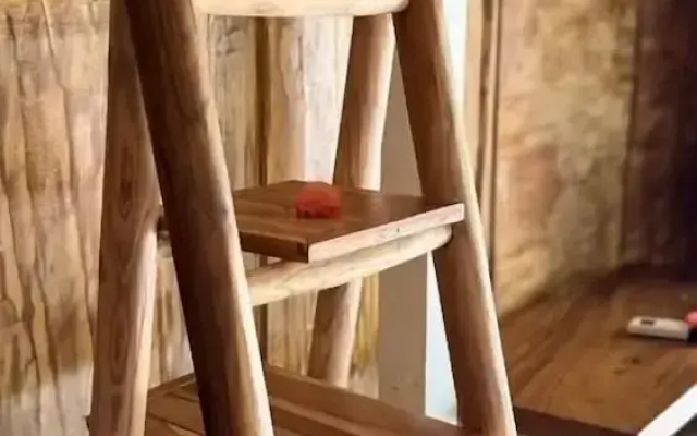 Buena Vibra